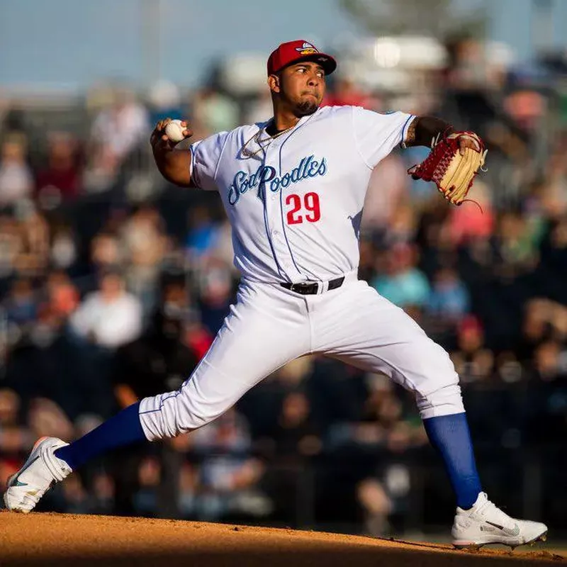 Amarillo Sod Poodles