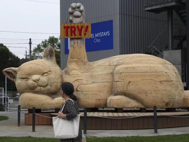 Rugby World Cup in Oita, Japan
